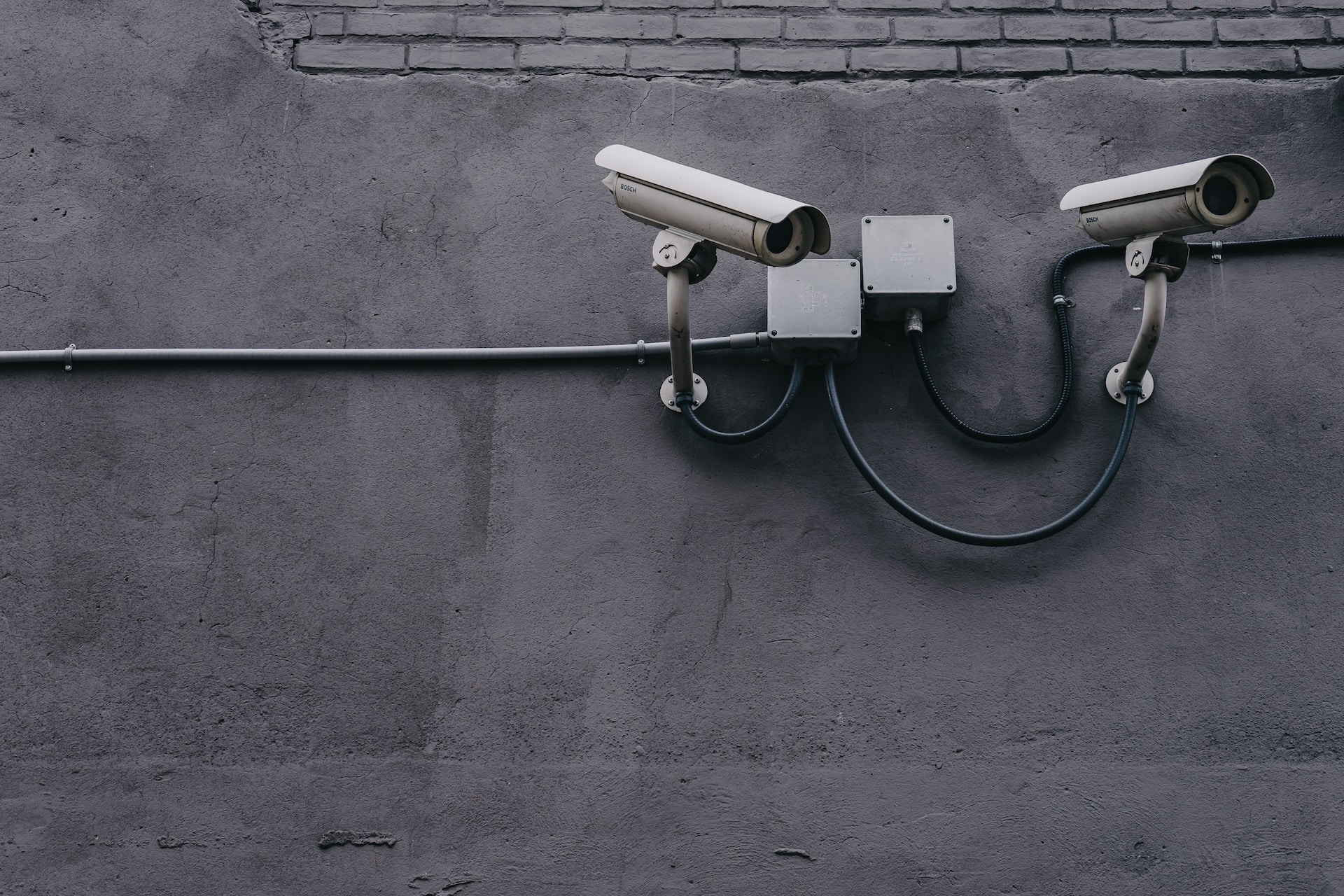 scott-webb-yekGLpc3vro-unsplash MrKoll - ta bort, vem kan kolla vem jag är